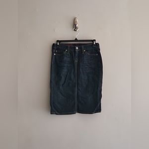 AG Adriano Goldschmied Novel Denim Skirt
